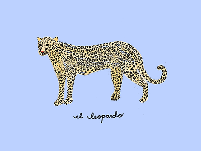 El Leopardo animal illustration leopard procreate texture watercolor
