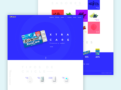 Chewing Gum Brand - Web Design design graphic design ui visual design web design website