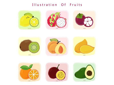 fruits illustration