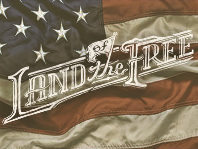 Land of the Free america americana done flag free freedom hand stars stripes typography us vintage