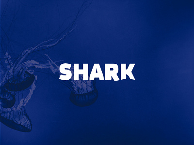 Shark Logo angry aquaruim design logo logotype ocean shark