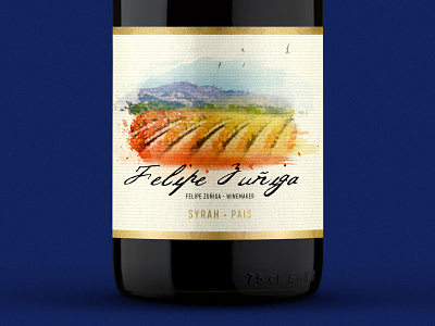 Felipe Zuniga Syrah Pais graphic design illustration illustrator package design packaging photoshop wine label wine label design