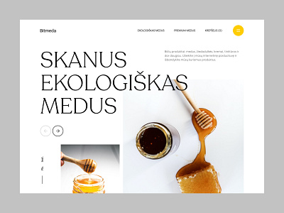 Bitmeda - Website Design app branding design graphic design logo ui ux web design