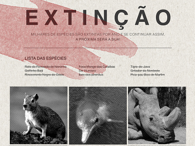 Extinction - Poster contests design extinction poster