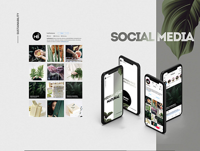 Healthy Beauty - Social Media beauty brand branding design green identity instagram social media socialmedia sustainability visual identity
