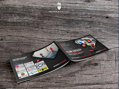 Brochure for Teamenergo company.