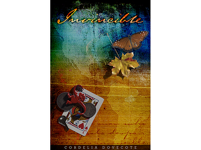 Invincible Book Cover americas book cover cover illustration digital illustration paperback texture