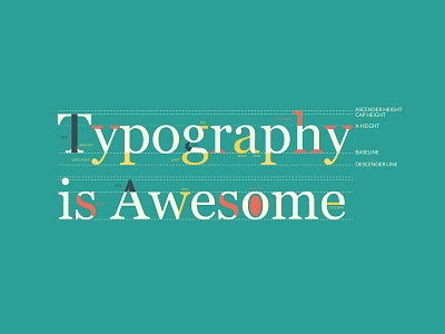 The Anatomy of Type