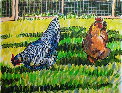 Poultry Promenade chickens hand drawn illustration ink pens sketch