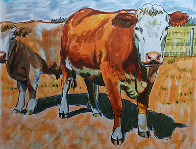 Cow Life cows hand drawn illustration ink pens sketch