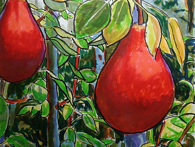 Ripe Red Pears hand drawn illustration ink pens pears sketch