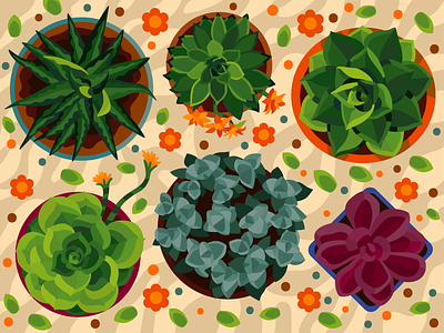 Home succulents adobe illustrator coloringbook flowers illustration vector vector art vector illustration