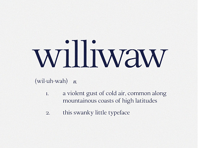 Williwaw Book Free Font book download download free font font free serif