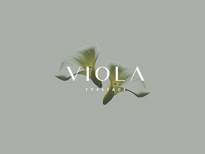 Viola Free Font download download free font font free