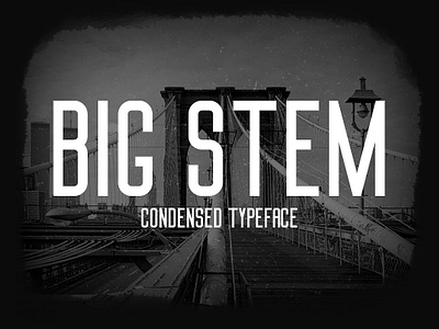 Big Stem Free Font download download free font font free geometric modern