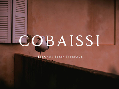 Cobaissi Free Font download download free font font free serif typography