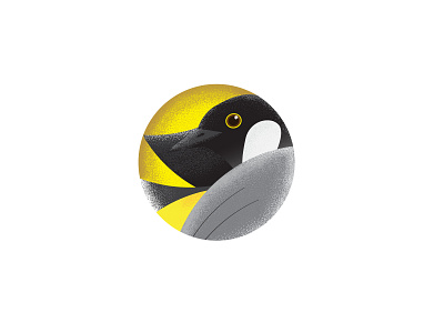 bird bam bird black bloodybird graphic design iconic illustration textures yellow
