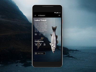 Catch App concept fishing material mock outdoors recipes ui design ux wip