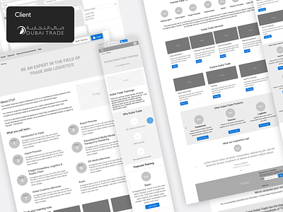 Dubai - Semi Government Project app design casestudy client client work design mobile app product design ui ux wireframe wireframing