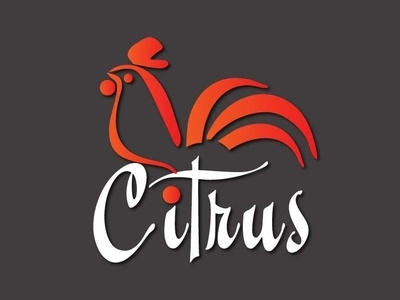 Citrus grill branding chicken design graphic design grill illustration logo logo a day logo design minimal restaurant logo typography