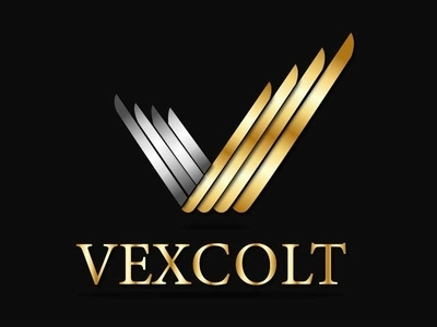 VEXCOLT branding branding design design elegant gold graphic design illustration logo logodesign silver typography