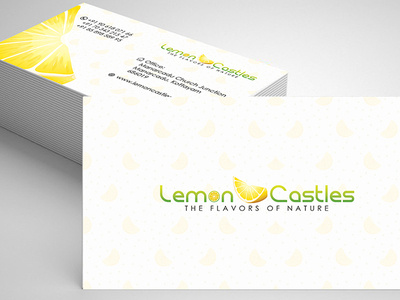 Business card branding bussines card design vector