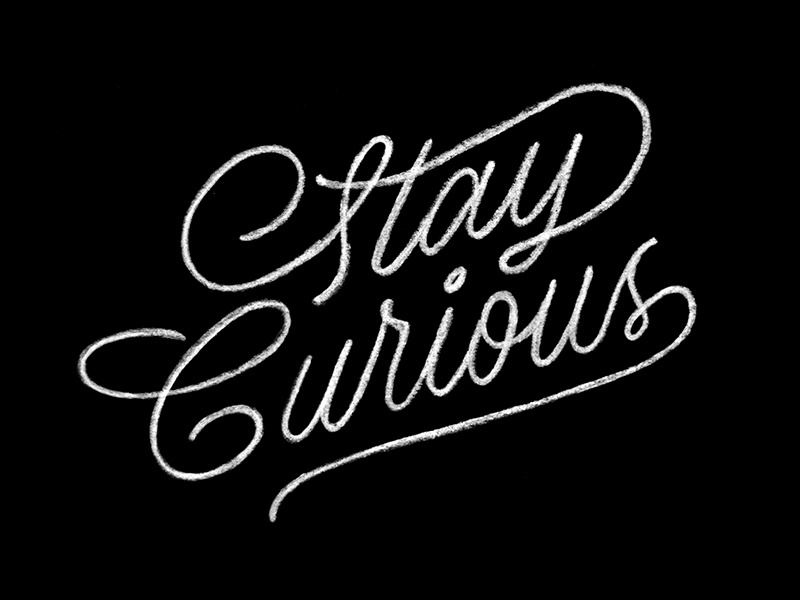 Stay Curious hand lettering script lettering typography