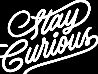 Stay Curious 2 hand lettering lettering script typography
