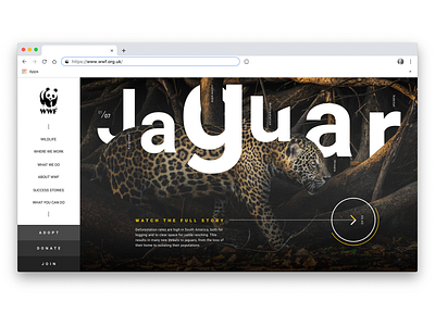 WWF Concept design typography ui web