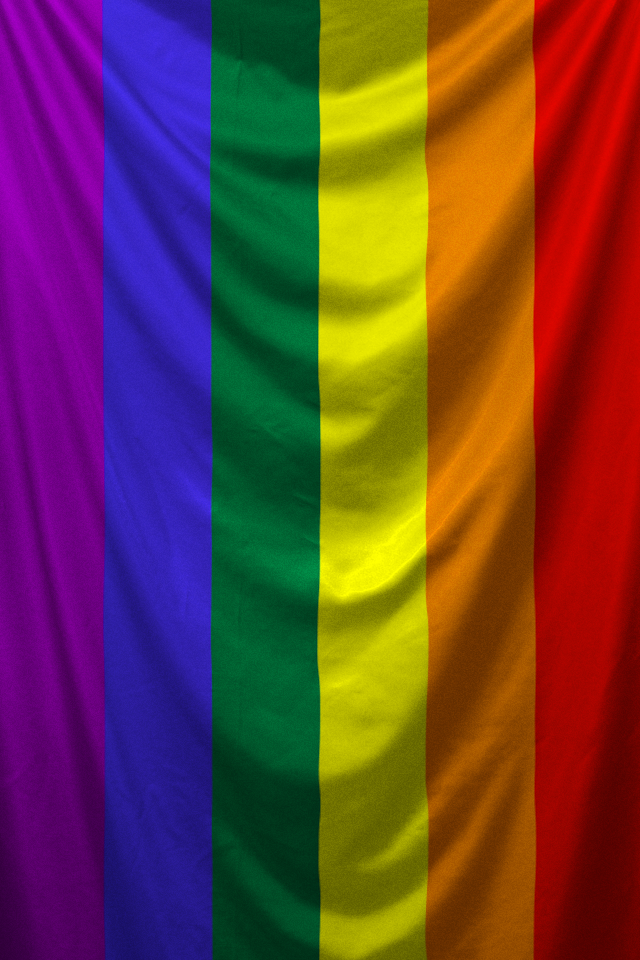 the gay pride flag