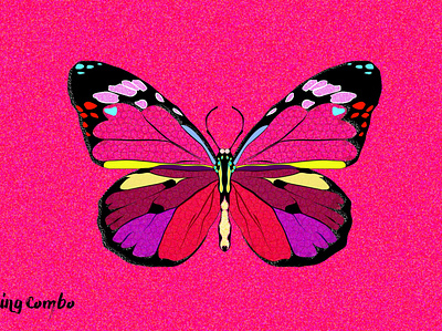 Butterfly illustration vector