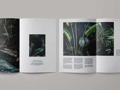 Magazine layout for Casa Pueblo hotel indesign layout magazine minimal photograhy plants