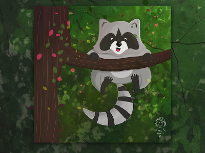 Funny raccoon