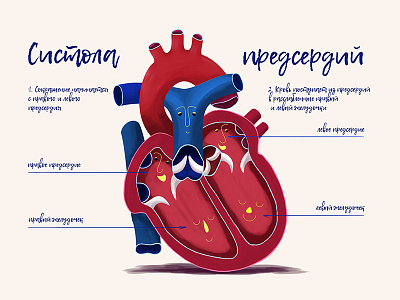 Medical illustration for the article