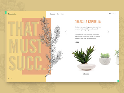 Succ.it app clean design light sketch sketch app succulent succulents ui web web design