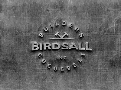 Birdsall branding design identity letters logo logotype simple