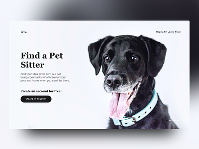 Find a Pet Sitter dogs pets ui