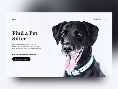 Find a Pet Sitter