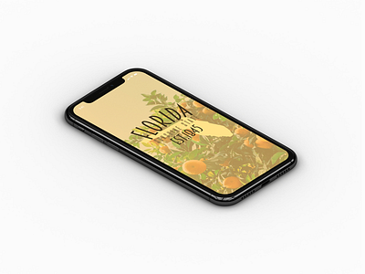 Florida. design florida iphone mock up orange screensaver state yellow