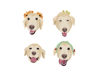 Dogs_Golden Retriever