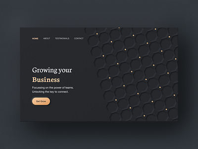 Business Landing page