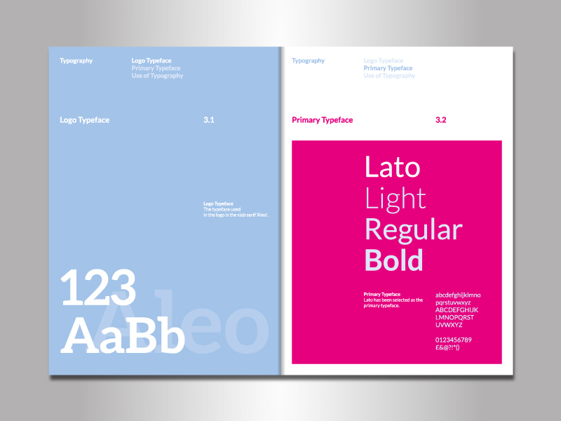 Shot of some Brand Guidelines