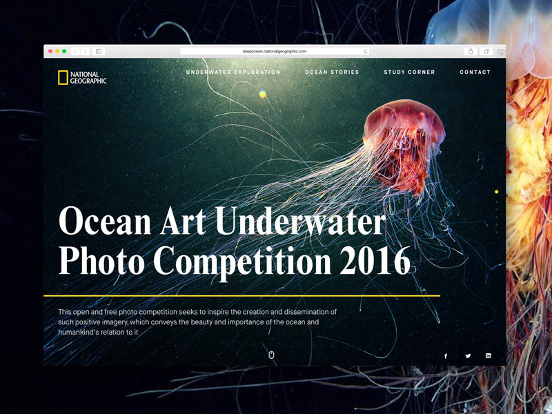 National Geographic Photo Competition Mockup