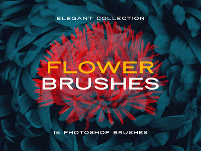 Elegant Flower: Free Photoshop Brushes