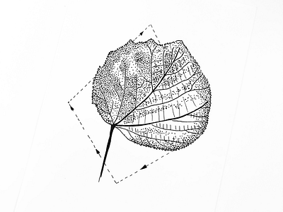 Leaf art design illustration leaf logo