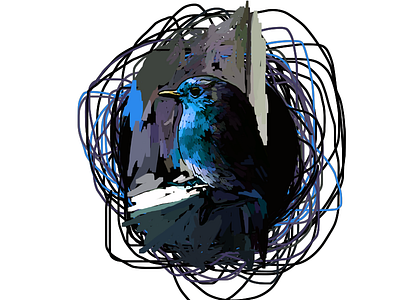 Blue Robin bird blue drawing illustration robin