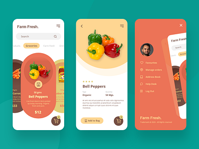 Groceries shopping app design