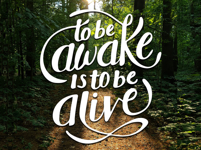 Thoreau Quote quotes quote photo hand lettering design vector branding hand drawn illustration lettering typography type illustrator
