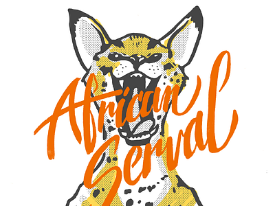 African Serval brush ink lettering pen serval