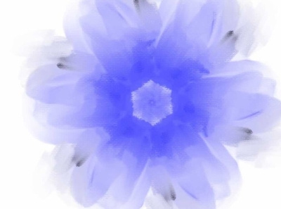 blues blue design flower illustraion illustration image vector
